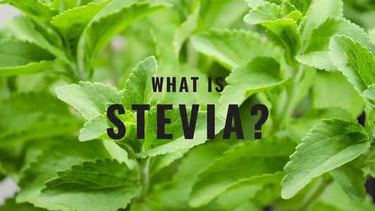What Is Stevia? Understanding Nature's Sweetener