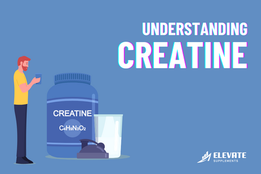 What Does Creatine Do?
